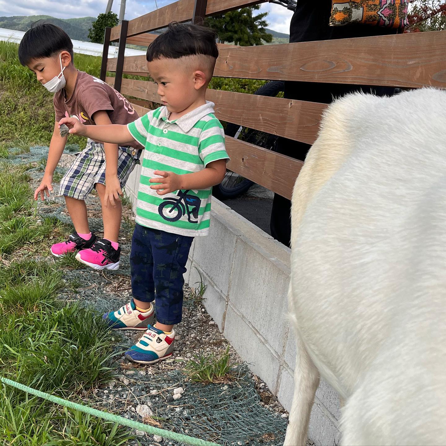 #キッズカット#メンズカット#かわいい#カット終わったらヤギさんと🐐🐐．．〠627-0004京丹後市峰山町荒山1220-1︎0772608704close:Wednesday